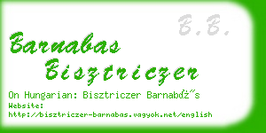 barnabas bisztriczer business card